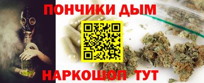 стаф Дубна