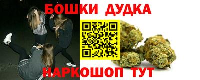 стаф Дубна