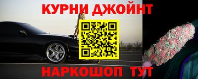 стаф Дубна