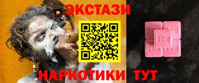 стаф Дубна