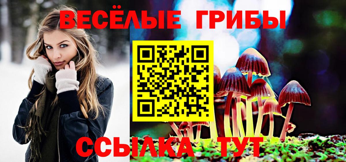 Галлюциногенные грибы Psilocybe Мелеуз