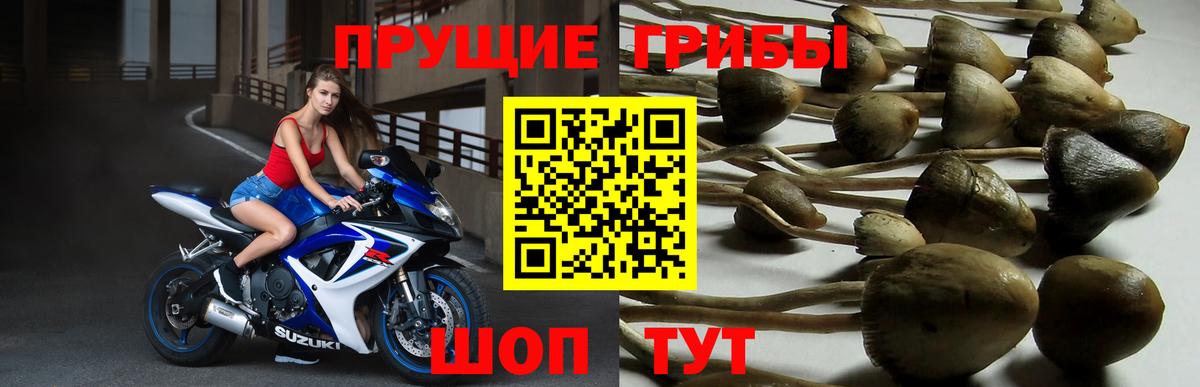 Мелеуз  Псилоцибиновые грибы Cubensis  Вход с VPN 
